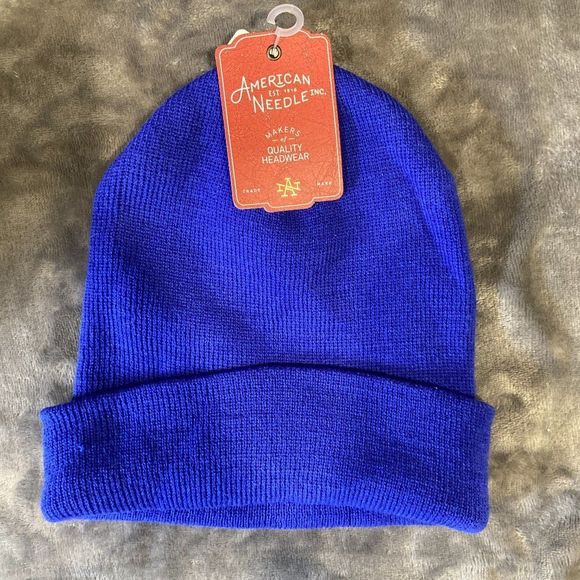 American Needle Other - NWT AMERICAN EAGLE Blue Toque